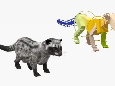  Asian Palm Civet for Kopi Luwak Gray Coat Fur Rigged 