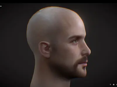 Male head Realistic Perfect Head Low-poly Low-poly 3D model