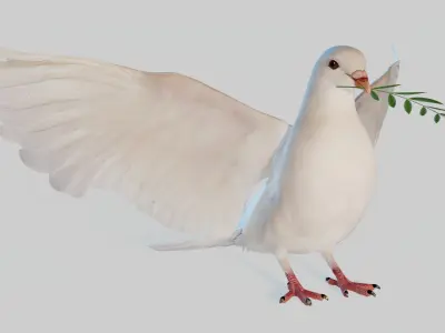  Dove Animated 