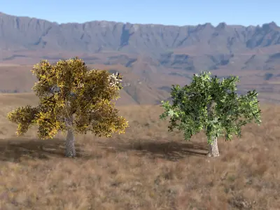 High Quality Trees for VR Low-poly 3D model