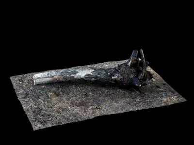 stump 002 Low-poly 3D model