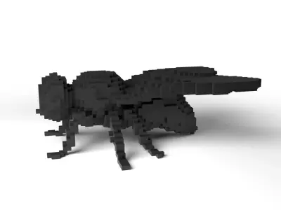Fly Minecraft Voxel Low-poly 3D model