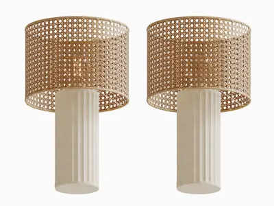 Cane Lamp Shade 3D model