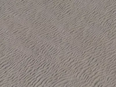Wind Rippled Desert Sand Texture