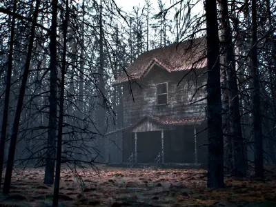 Abandoned Wooden House Low-poly 3D model