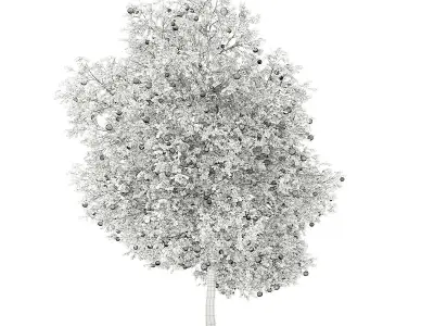 Grapefruit Tree with Fruits 3D model