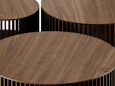 Fondu Giostra Coffee Tables 3D model