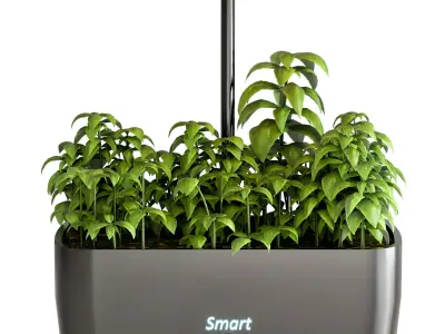 PLANTS IN DIGITAL VASE NO4 A 3D model