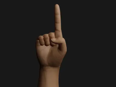 Male Right Hand Rigged Low-poly 3D model