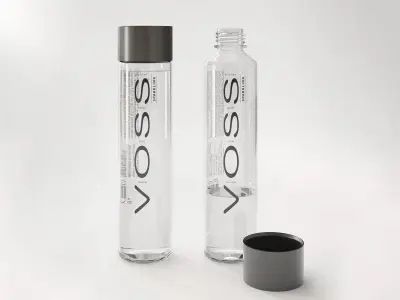 Voss Artesian Water 375 3D model