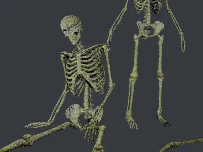 10 Skeletons Old and Mossy Game Ready Low-poly 3D model