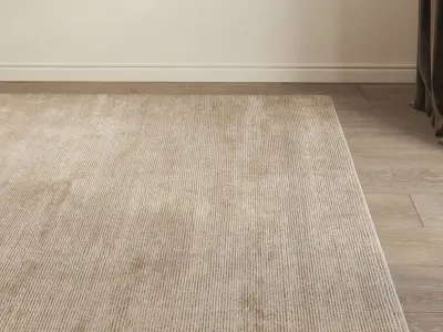 Carpet set 9101 - Wool Beige Rug - 4k 3D model