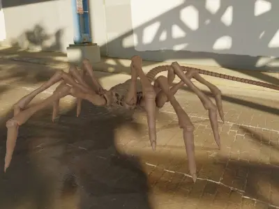 Alien facehugger rigged for blender Low-poly 3D model