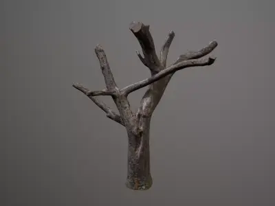 Topped Tree Low-poly 3D model