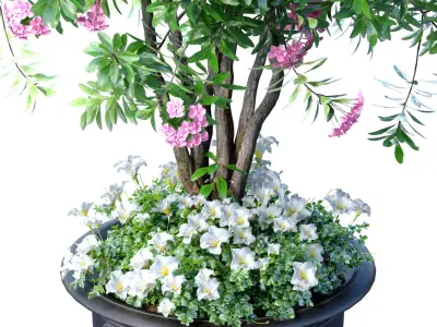 Decorative evergreen flowering tree plant classic garden pot 3D model