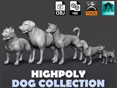 5 HQ Dog pack