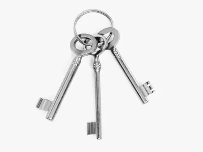 Set of New Keys - 3 Unique Skeleton Keys on Keychain Ring 3D model