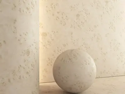 Birch Burl wood material 01 Texture