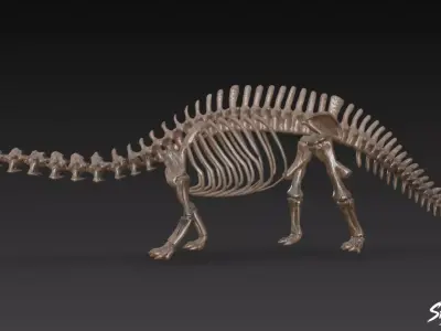 Apatosaurus fossil   Low-poly 3D model