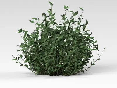 5 Type of Out door Bush Set vol 3D model