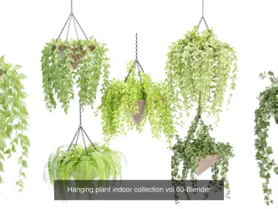 Hanging plants indoor collection-Blender 3D Model Pack