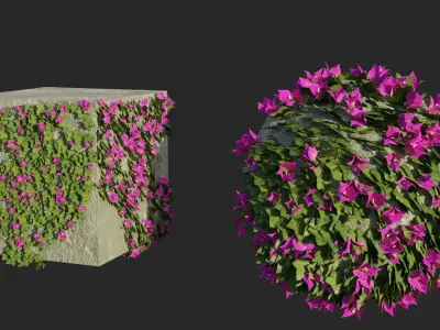 Bougainvillea Flowers and Bushes vol 1 3D model