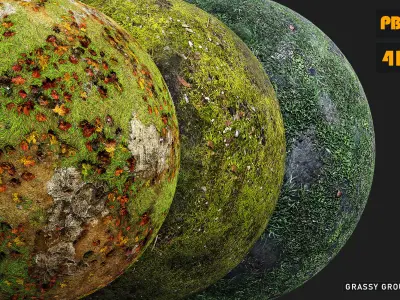 Grassy Ground Texture