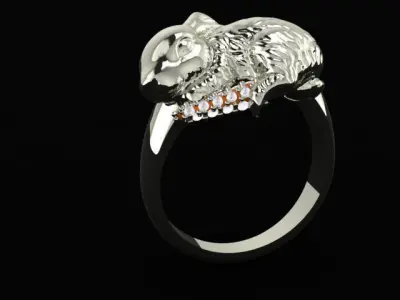 Rabbit ring 3D print model
