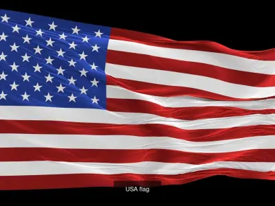 Flag animation 3D Model Pack