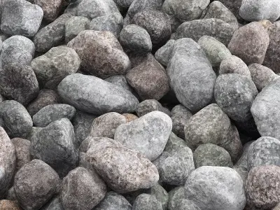 Pebble color collection 3D model