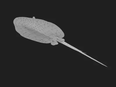 Ray fish Low-poly 3D model