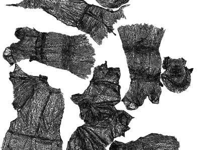 Basics0007 - A set containing 5 models of male and female 3D model