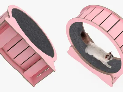 Ragdoll Cat Walking on Exercise Wheel Fur for Maya 