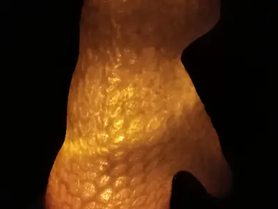 Voronoi bunny  3D print model