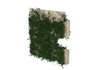 Moss Wall 3D model