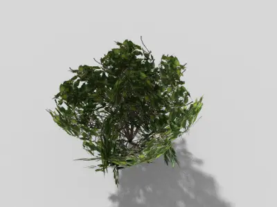 Shrub bush Low-poly 3D model