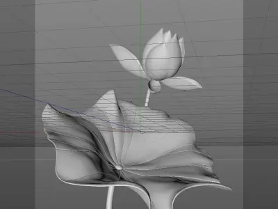 Budding lotus lotus lotus blooming animation 3D model