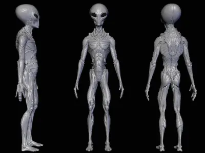 Realistic Alien 9 Sculpt 3D model