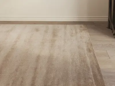 Carpet set 3123 - Wool Rug - 4k 3D model