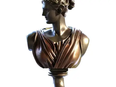 Roman Girl Bust set 768 Low-poly 3D model