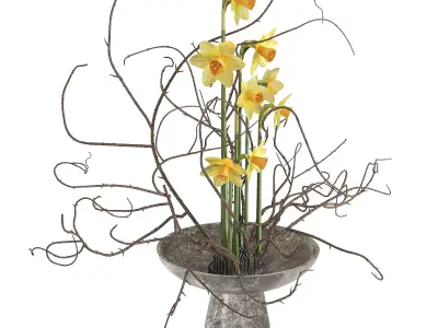 Daffodils Dry Twisted Branch Bouquet 3D model