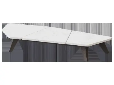Raphael Coffee table 70x170 by Paola Navone 3D model