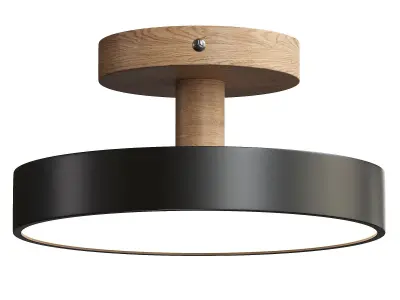  Colorful Round Flush Mount Ceiling Light 3D model