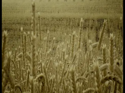 Chillida Praise The Horizon Third - Seventh 3D Scene 3D model