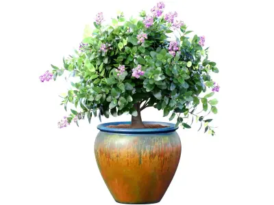 Decorative flowering garden Lilac tree flowerpot Provence style 3D model