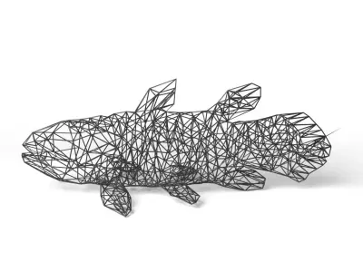 Coelacanth Wireframe Low-poly 3D model