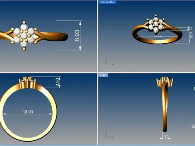 Ring - 1565 3D print model