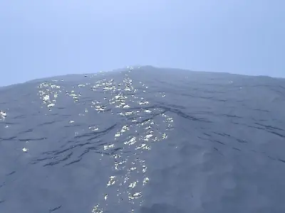 Ocean Low-poly 3D model