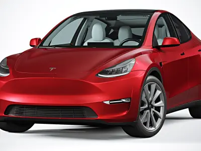  2021 Tesla Model Y 