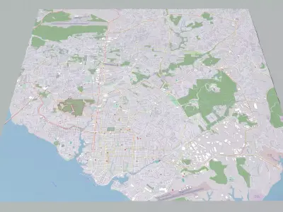 Cityscape Manaus Brazil 3D model
